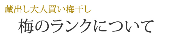 大人買い梅干しのランクについて